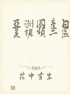 亚洲国产日韩欧美视频二区封面
