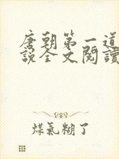 唐朝第一道士小说全文阅读