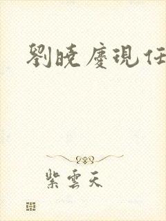 刘晓庆现任丈夫