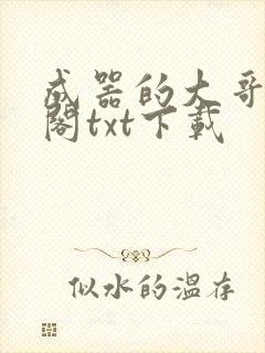 成器的大哥笔趣阁txt下载