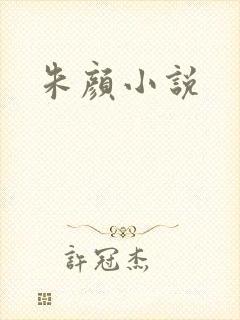 朱颜小说