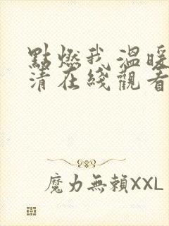 点燃我温暖你高清在线观看电视剧