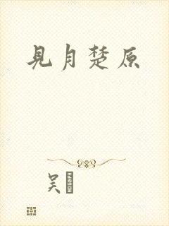 见月楚原封面