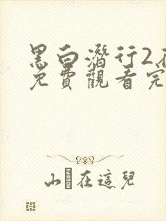 黑白潜行2在线免费观看完整版