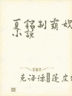 夏铭制霸娱乐圈小说