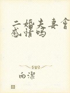 二婚夫妻会有真感情吗封面