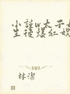 小说w太子妃重生后爆红娱乐圈》