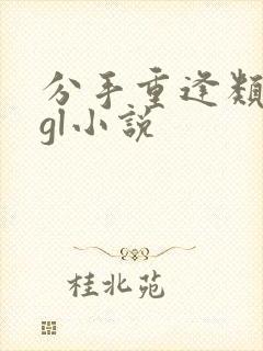 分手重逢类型的gl小说封面