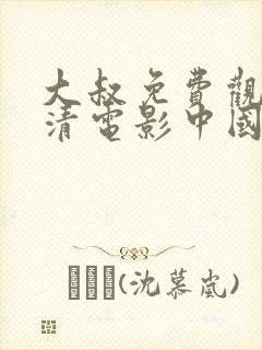 大叔免费观看高清电影中国版