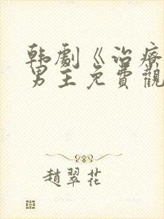 韩剧《治疗》双男主免费观看
