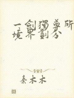 一剑独尊所有的境界划分