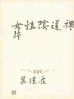 女性阴道裸体照片