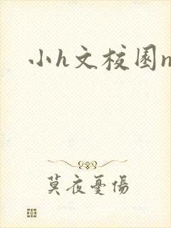 小h文校园np