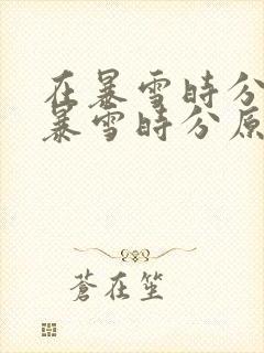 在暴雪时分(在暴雪时分原著小说)