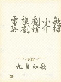 电视剧小敏家分集剧情介绍