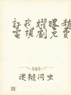许我耀眼赵露思电视剧免费观看全集在线播放