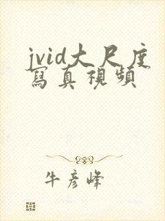jvid大尺度写真视频