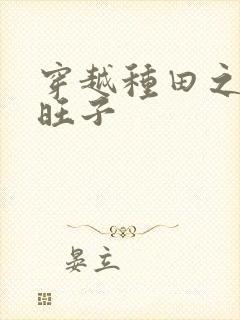 穿越种田之旺夫旺子