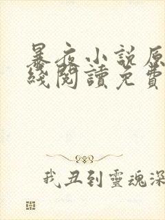 暴夜小说原著在线阅读免费