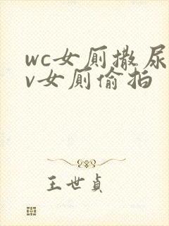 wc女厕撒尿tv女厕偷拍封面