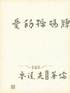 爱的号码牌封面