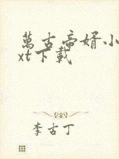 万古帝婿小说txt下载