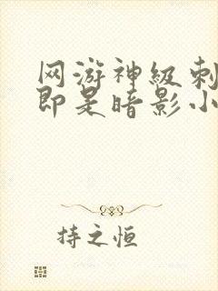 网游神级刺客我即是暗影小说免费阅读