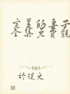 完美的妻子在线全集免费观看电影封面