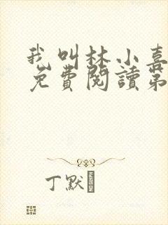 我叫林小喜全文免费阅读第二部封面