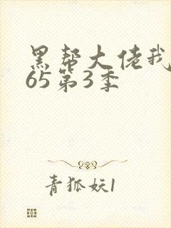 黑帮大佬我的365第3季