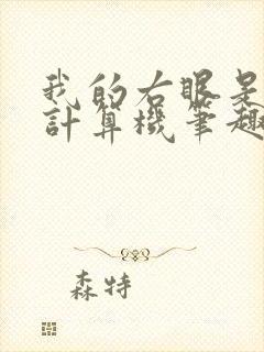 我的右眼是神级计算机笔趣阁无弹窗
