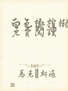 白色橄榄树全文免费阅读