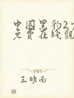 中国黑豹2完整免费在线观看封面