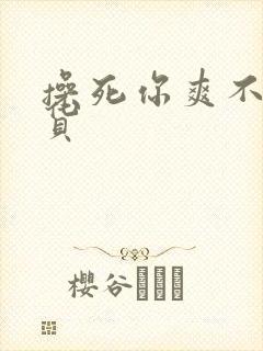 操死你爽不爽骚货封面
