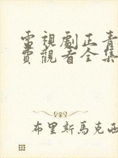 电视剧正青春免费观看全集高清封面