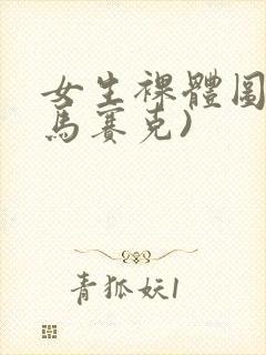女生裸体图(无马赛克)封面