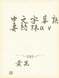 中文字幕熟女人妻丝袜aⅴ封面