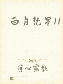 白月梵星11集