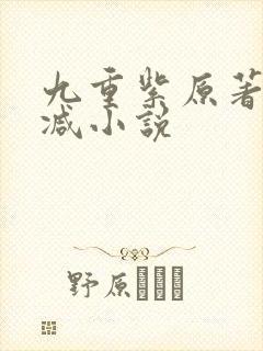九重紫原著未删减小说