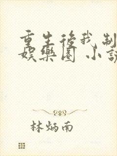 重生后我制霸了娱乐圈 小说