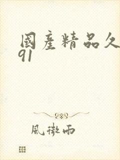 国产精品久久久91