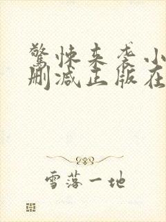 惊悚来袭小说无删减正版在线阅读封面