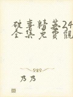 破事精英24集全集免费观看