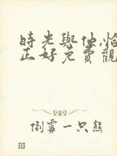 时光与他,恰是正好免费观看