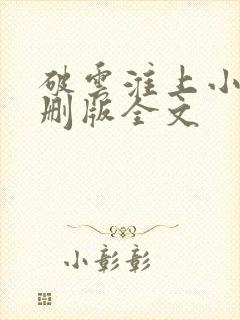 破云淮上小说未删版全文
