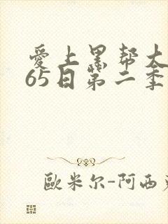 爱上黑帮大佬365日第二季