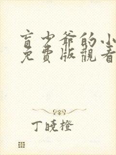 盲少爷的小女仆免费版观看