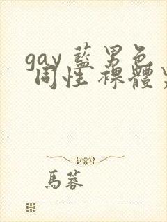 gay 蓝男色 同性 裸体男模