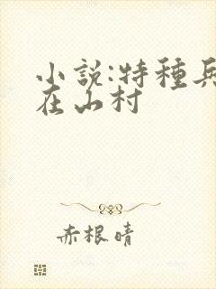 小说:特种兵王在山村