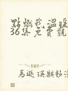 点燃我温暖你第36集免费观看
